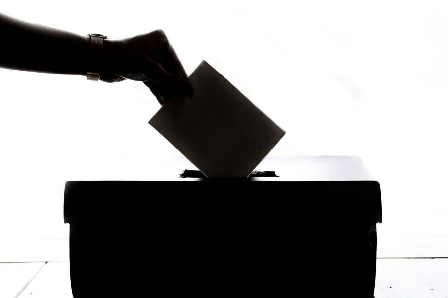 The Participation Paradox: Why Political Trust Doesn’t Always Translate Into Votes